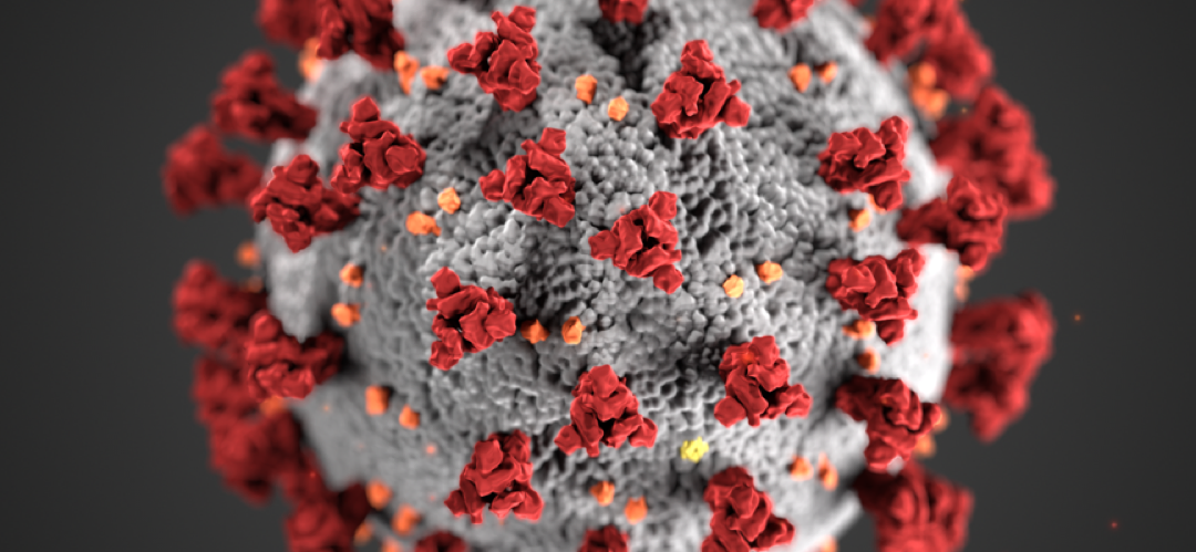 SEO and the Coronavirus “update”