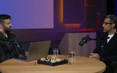 Pichai, again: decoding “How Sundar Pichai is rethinking Google for the AI Era”